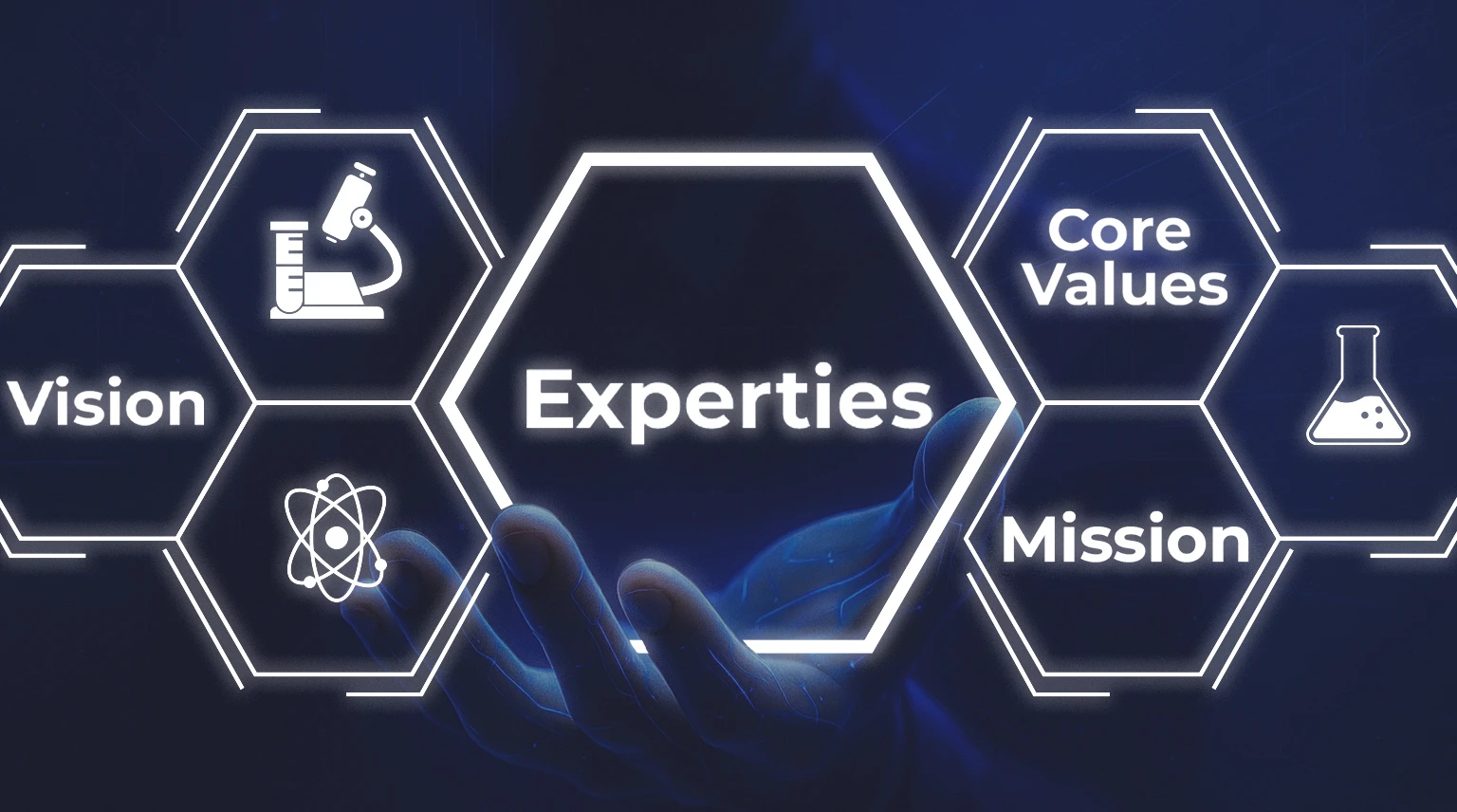 Our Expertise