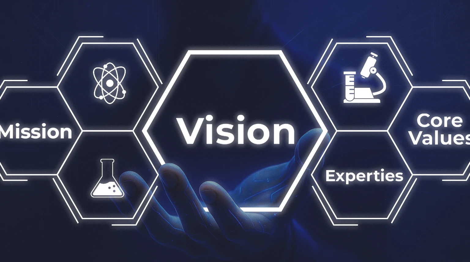 Our Vision